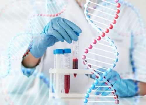 Xét nghiệm ADN là gì? Mục đích xét nghiệm ADN