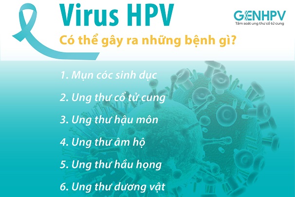 virus hpv là gì. Virus hpv là bệnh gì
