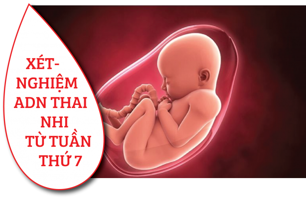 Xét nghiệm ADN thai nhi không xâm lấn từ tuần thai thứ 7 ở Tây Ninh